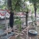 Camat Meuraxa Imbau Warga Pasang Bendera Merah Putih